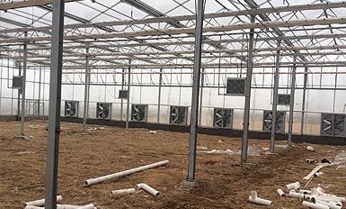 大棚風機麻豆AV免费在线观看